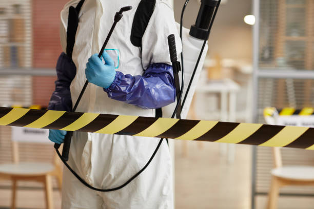 Professional Blood Cleanup technician working in Bloomfield, NY